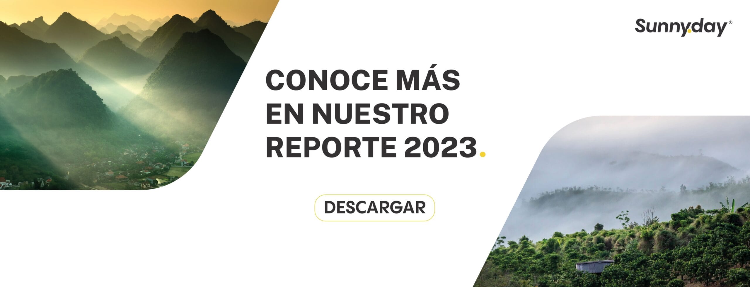 reporte anual 2023