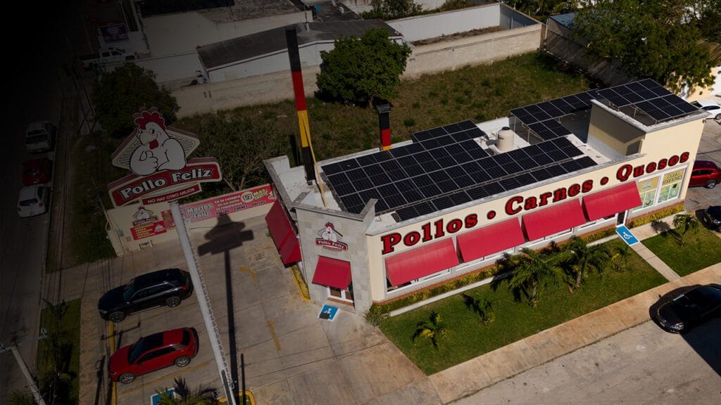 pollo feliz Mérida